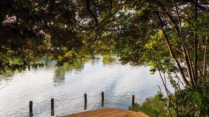 木陰から見える湖