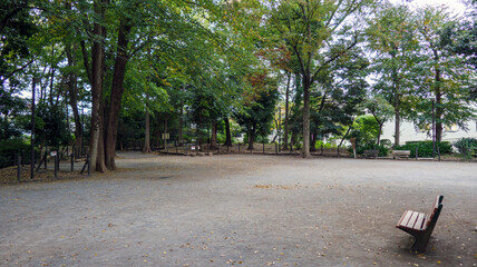 公園の広場とベンチ