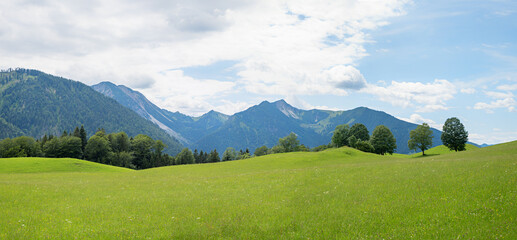 green pasture with mountain view Seebergspitze. landscape around Bayrischzell, bavaria