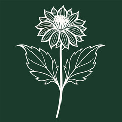 geum triflorum prairi smoke line art