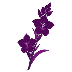 gladiolus deep purple silhouette on white background