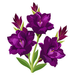 gladiolus deep purple flower  vector on white background