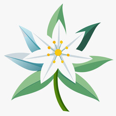 glory of the snow flower white on white background