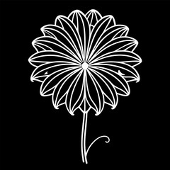  goats beard mushroom  line art on white background