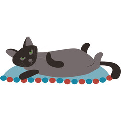 A Gray Cat With Green Eyes Lying on a Blue Pillow with Red and Blue Trim on a Transparent Background