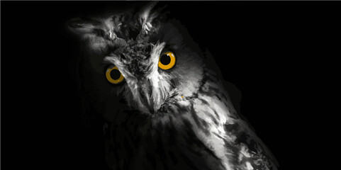 portrait of a black owl