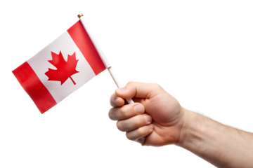  hand holding canadian flag isolated on white background ,PNG. AI Generated
