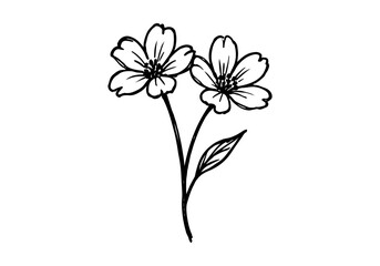 Daisy Flower hand drawn simple sketch vector illustration