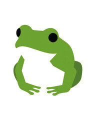 frog on white background