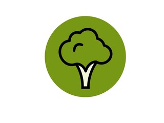Broccoli Outline Icon on Green Circle Background