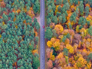 Aerial view of a lone red car navigates the straight road cutting through a vibrant autumnal forest, a tapestry of greens, golds, and russets, Orschwiller, Grand Est, France.