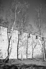 Medieval castle wall with tree shadows