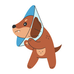 Dachshund Dog with Medical Cone. Adorable Pet Character wearing Protective Gear after Surgery. Flat vector illustration for veterinary, healing, and pet care designs