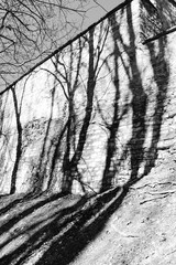 Medieval castle wall with tree shadows