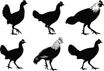 Chicken and rooster silhouette set, black farm birds, crest poultry poses, vector animal artwork, isolated design elements, feather details