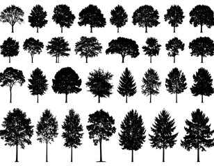 A collection of various silhouette trees in black against a white background, in several sizes and shapes