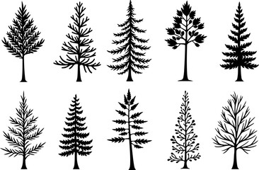 Vintage Evergreen Tree Silhouette Set