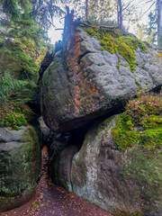 Fototapety na wymiar - Fototapeta24.pl