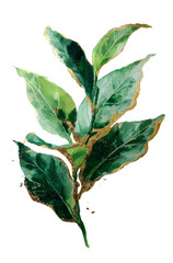 Golden Edge Leaves: Watercolor style green leaves on black background.