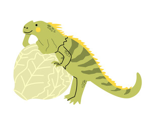 Obraz premium Green iguana lizard with Iceberg lettuce. Isolated vector illustration. Flat cartoon style. Learning english 