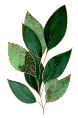 Glistening Verdant Leaves: A Golden Touch on Watercolor Foliage Against Black Backdrop