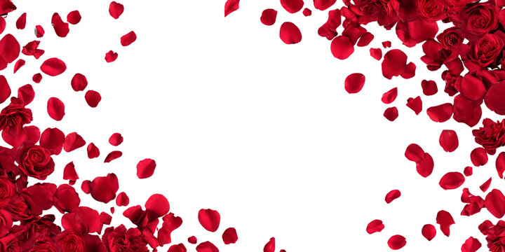 Crimson Cascade: Roses and Petals on Black