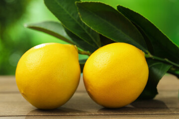 Fresh lemons with green leaves on wooden table outdoors, closeup