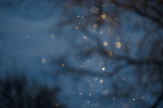 Abstract winter bokeh background with snowflakes in golden evening light