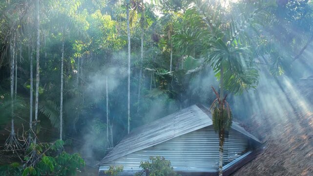 Illegal slash and burn deforestation in Amazon rainforest. Fires are burning trees to clear land for agriculture and cattle ranching