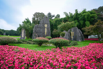 Stone Forest, Shilin, Kunming in Yunnan province, China.