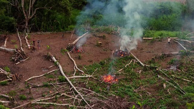 Deforestation in Amazon rainforest with slash and burn fires raging. Aerial perspective showing cleared land, smoke, and flames