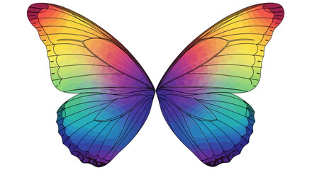 Vibrant Rainbow Butterfly Wings Isolated on a White Background.