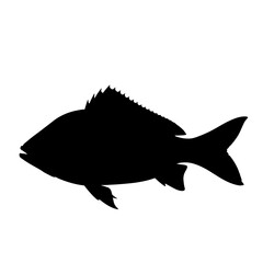 Silhouette of fish swimming with sharp fins and streamlined body  