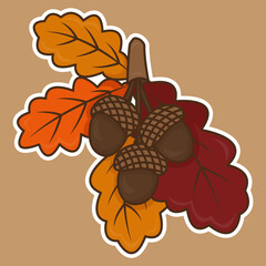 Graphic oak branch with acorns and leaves. Linear art botanical design for printing on fabric and paper