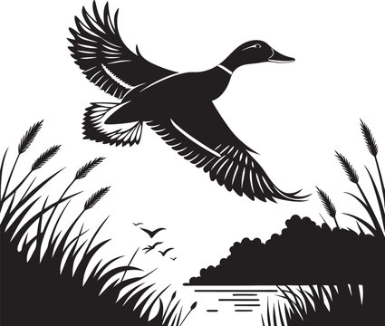 mallard duck flying silhouette 