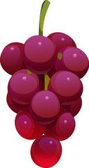 Fototapeta premium Cartoon bunch of ripe purple grapes with glossy round berries and green stem. Isolated vector autumn fall season fruit, healthy food, ingredient for wine making, seasonal vitamins, grape cluster