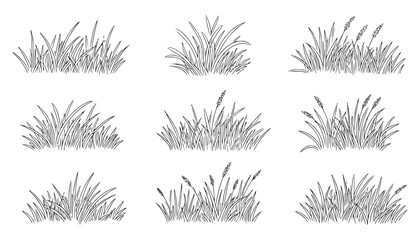 Collection of nine handdrawn grass tufts © MARS