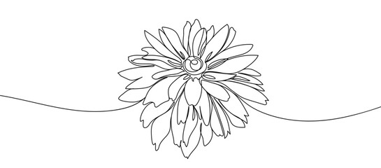 Outline drawing of a flower. Elegant continuous line art floral design perfect for posters, logo, tattoos, or modern interior wall decor