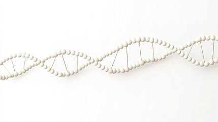 Simple DNA line border frame on white background - clean design with sharp lines, modern template easy for text insertion. Suitable for research reports, biology teaching, medical promotion