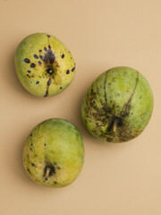 Mango fruit on white background