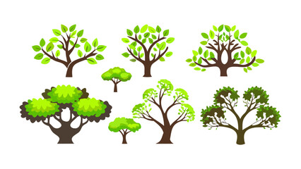 Obraz premium Diverse Green Trees Illustration: A collection of various trees with lush green foliage, showcasing diverse shapes and sizes, perfect for adding a touch of nature to your project. 