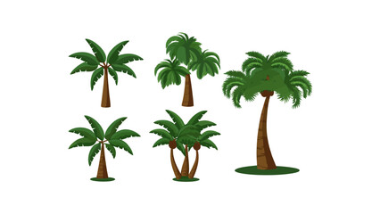 Obraz premium Palm Tree Collection: A cluster of vibrant palm trees, each with its unique shape and lush green fronds, evokes a sense of tropical paradise and natural beauty. 