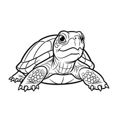 Fototapeta premium Turtle illustration in black line art style on white background 