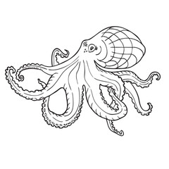 Octopus. Vector black engraving vintage illustrations. Vector illustration of octopus isolated on white background.