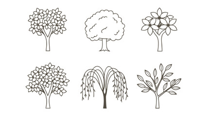 Tree Diversity: A collection of various trees illustrated in a minimalist style, showcasing the unique beauty of each species and celebrating the diversity of the natural world.
