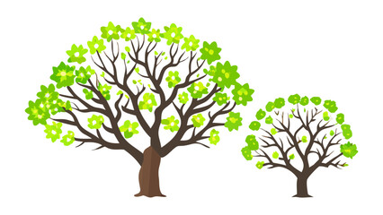 Obraz premium Vibrant Trees in Bloom: A pair of meticulously crafted tree illustrations stand side-by-side, showcasing their detailed branches and lush green foliage, presenting the essence of spring