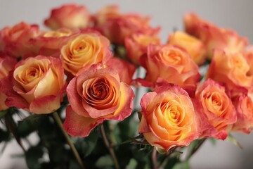 Naklejka premium Vibrant orange and pink roses bouquet close up