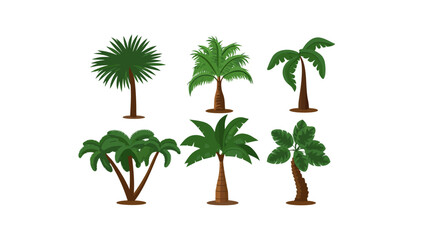 Obraz premium Palm Tree Variety: Diverse selection of stylized palm trees, each showcasing unique frond arrangements and trunk characteristics, embodying tropical flora's diversity.
