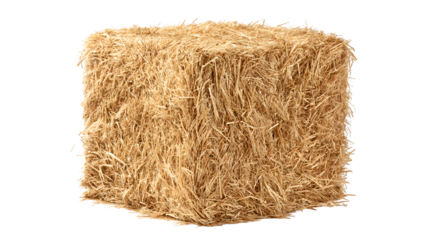 square hay bale, compact straw bundle, isolated on white background