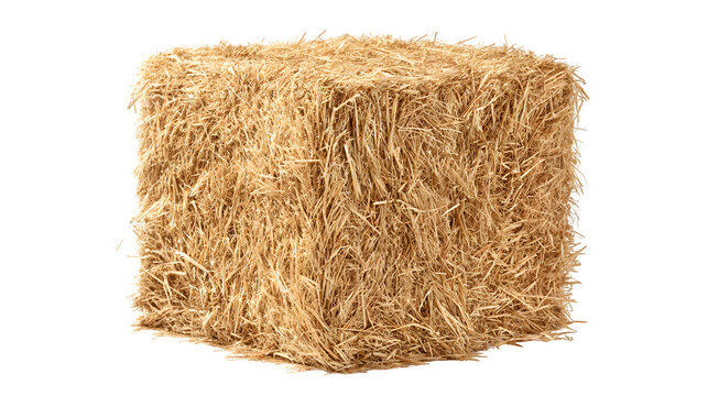 square hay bale, compact straw bundle, isolated on white background